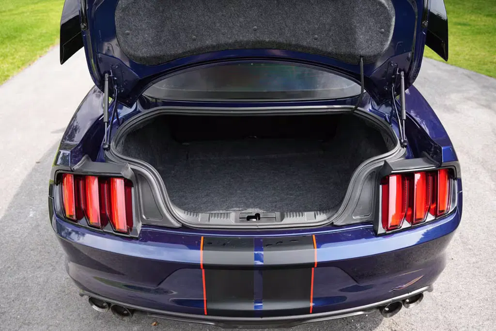 2018 Ford Mustang Shelby GT350R