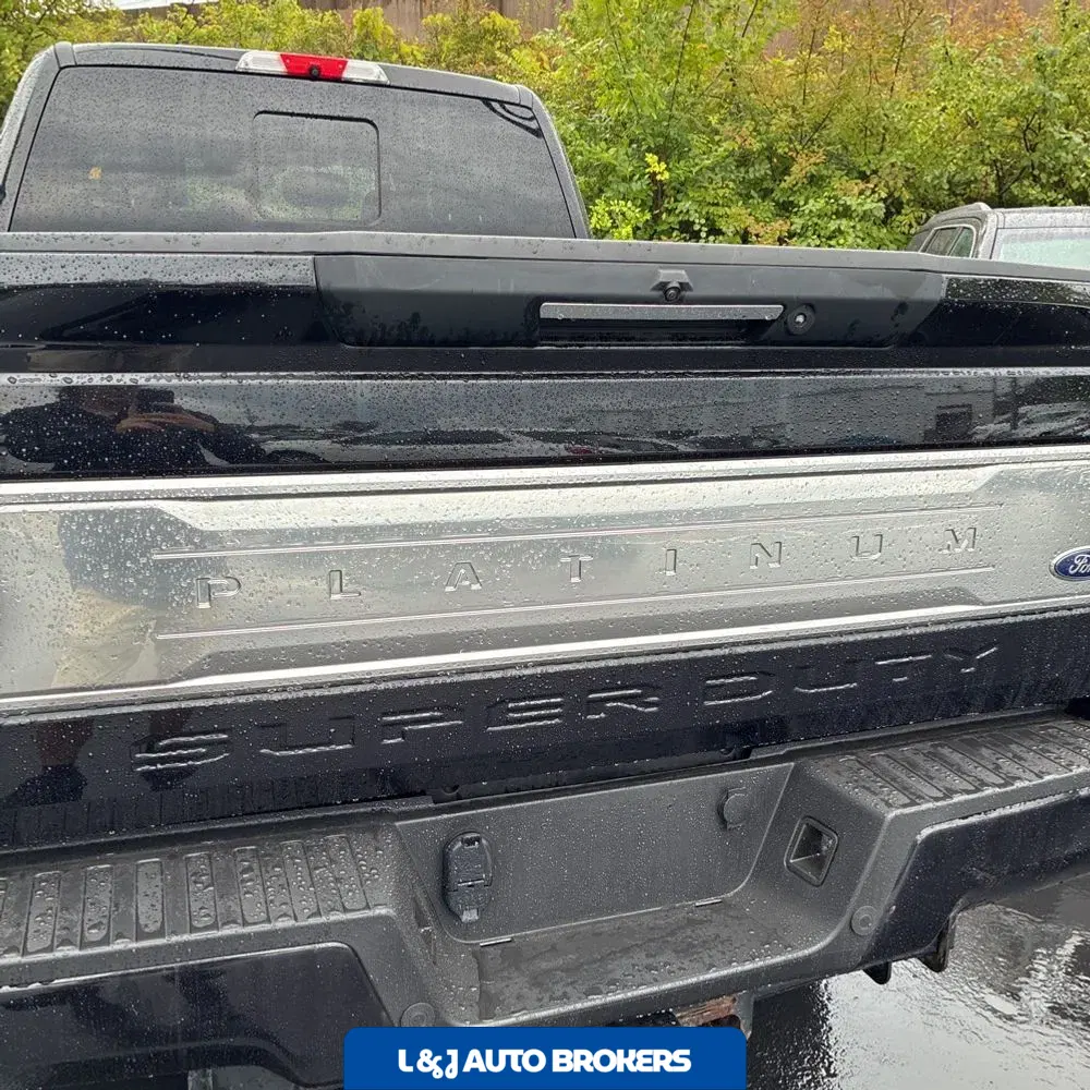 2019 Ford F250 S/D Platinum