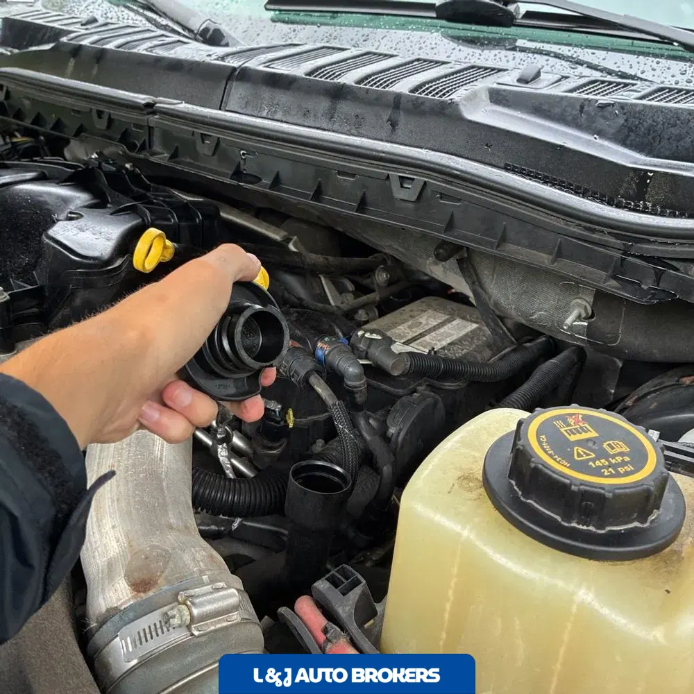 2019 Ford F250 S/D Platinum