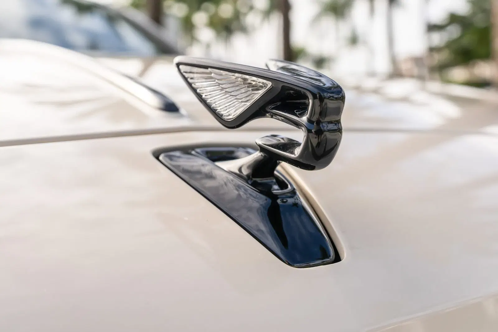2024 Bentley Flying Spur Speed Edition 12