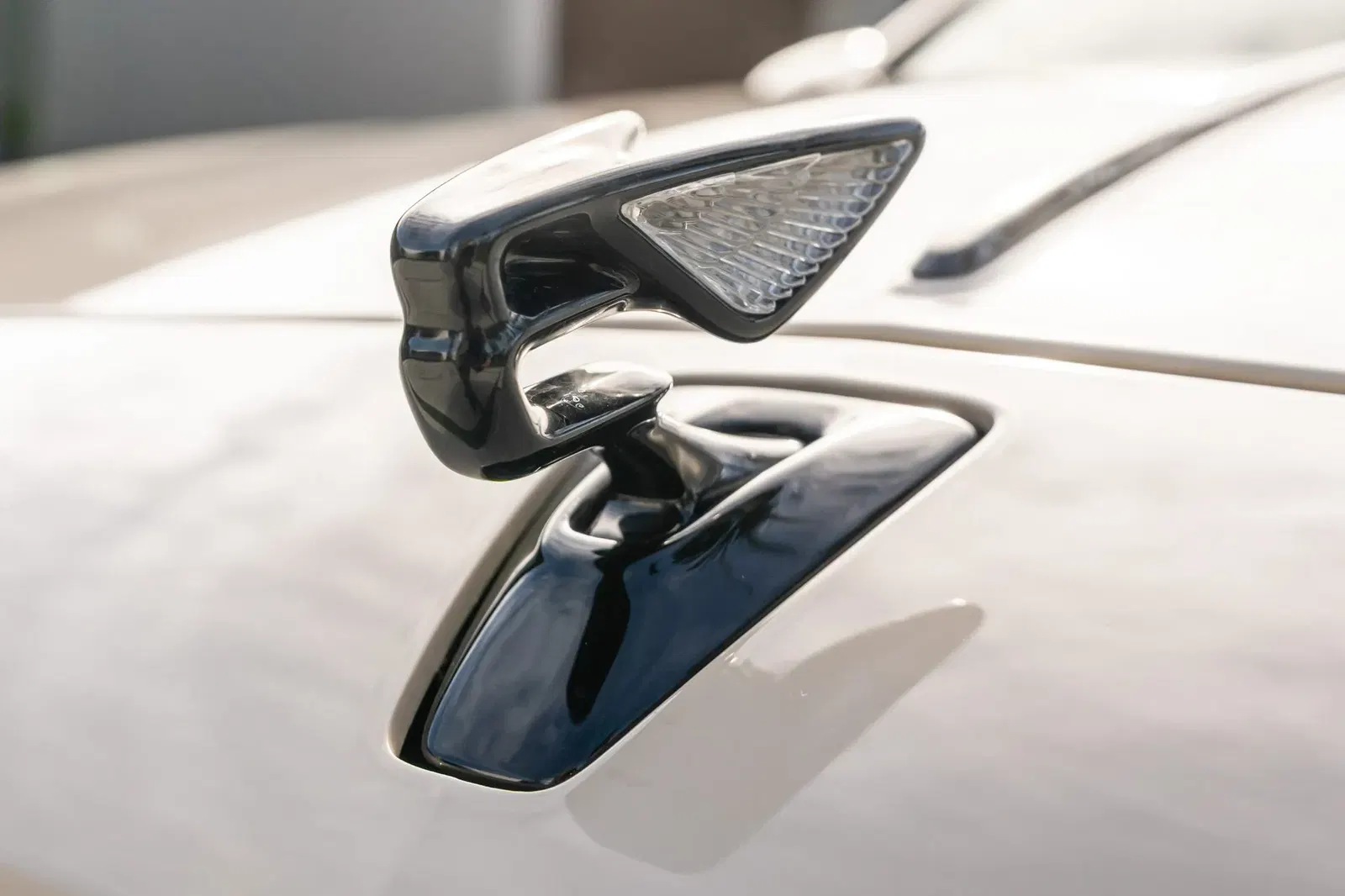 2024 Bentley Flying Spur Speed Edition 12