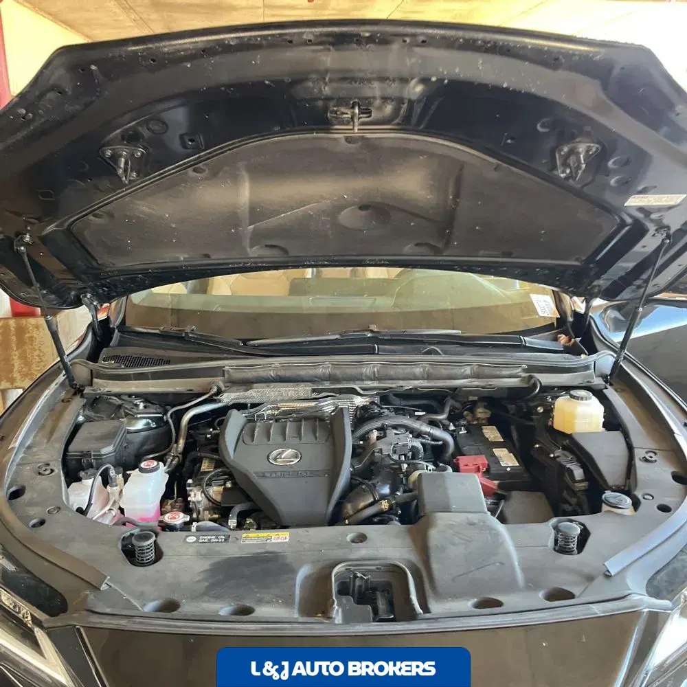 2024 Lexus RX 350 Premium