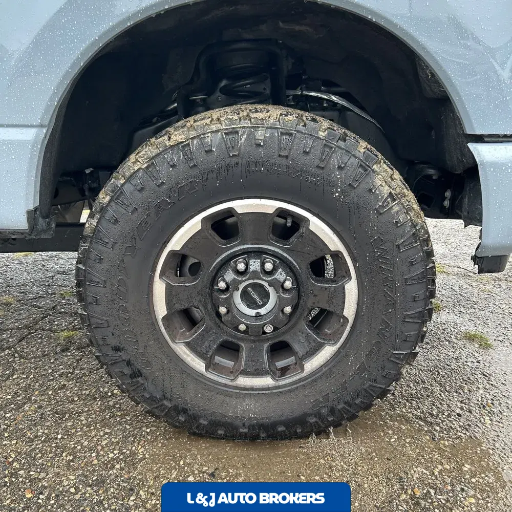 2025 Ford F250 S/D Platinum