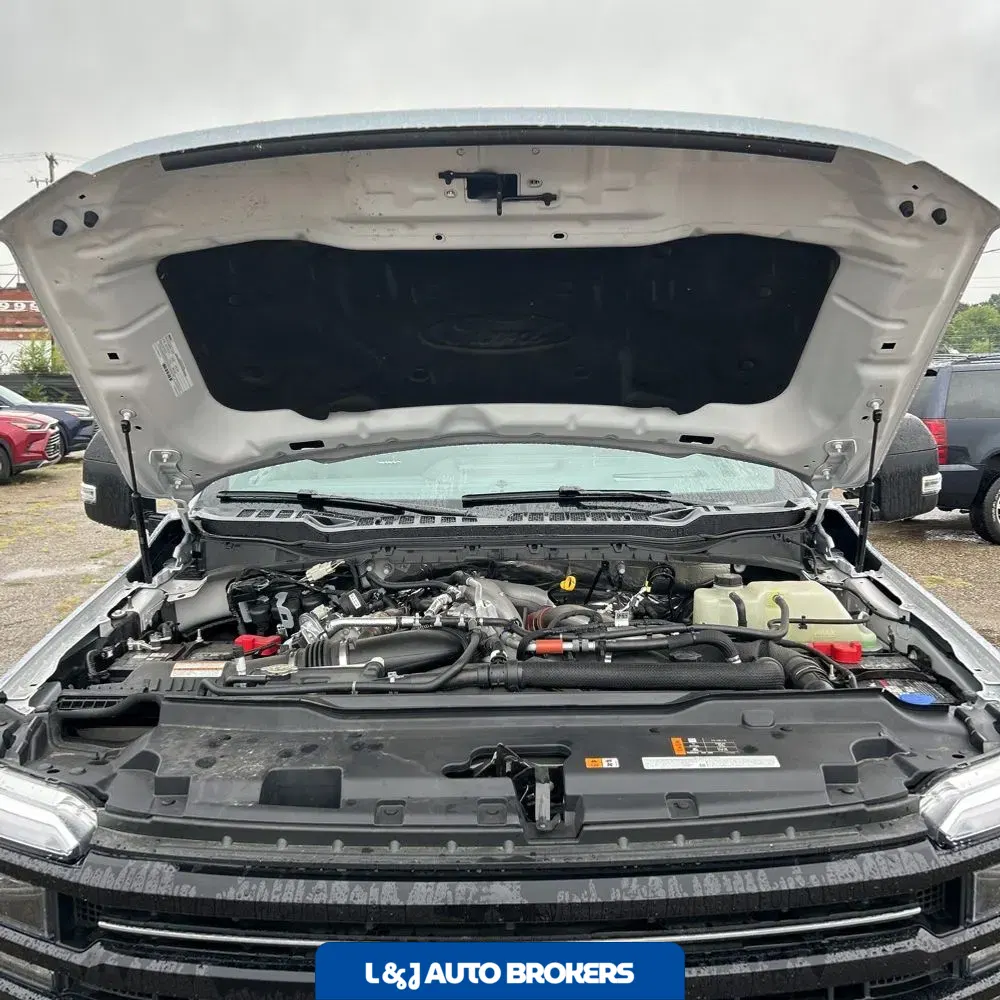 2025 Ford F250 S/D Platinum