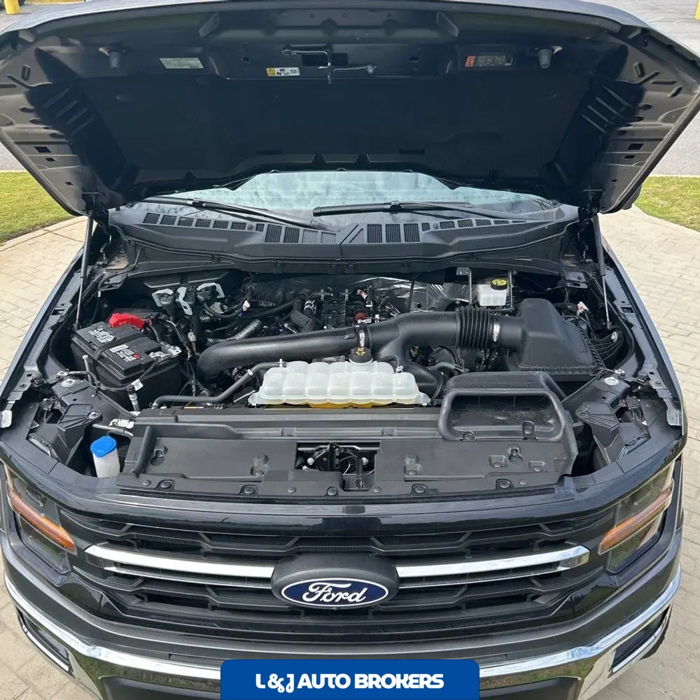2024 Ford F150 XLT