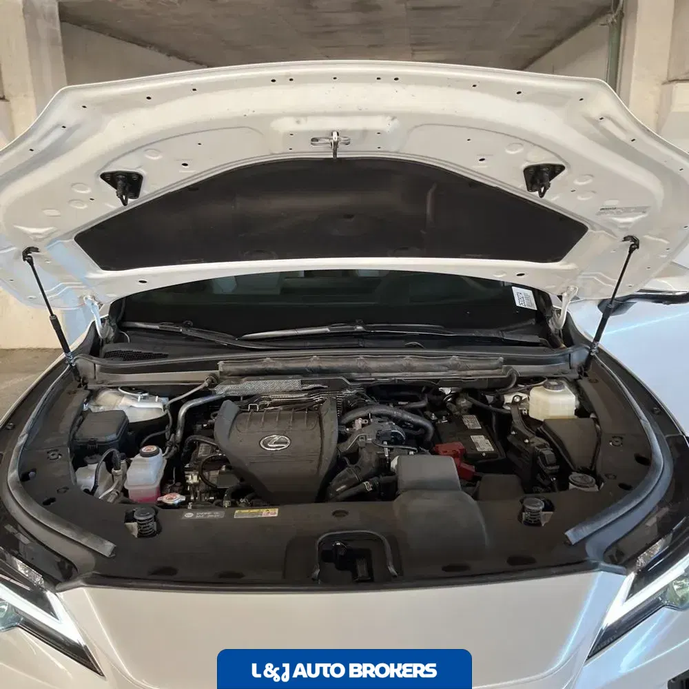 2023 Lexus RX 350 Premium+
