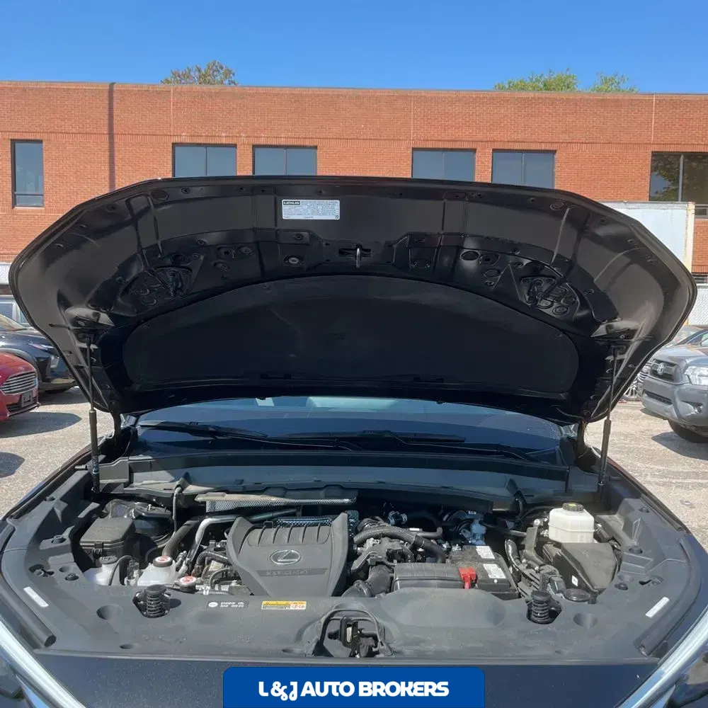 2024 Lexus TX 350 Premium