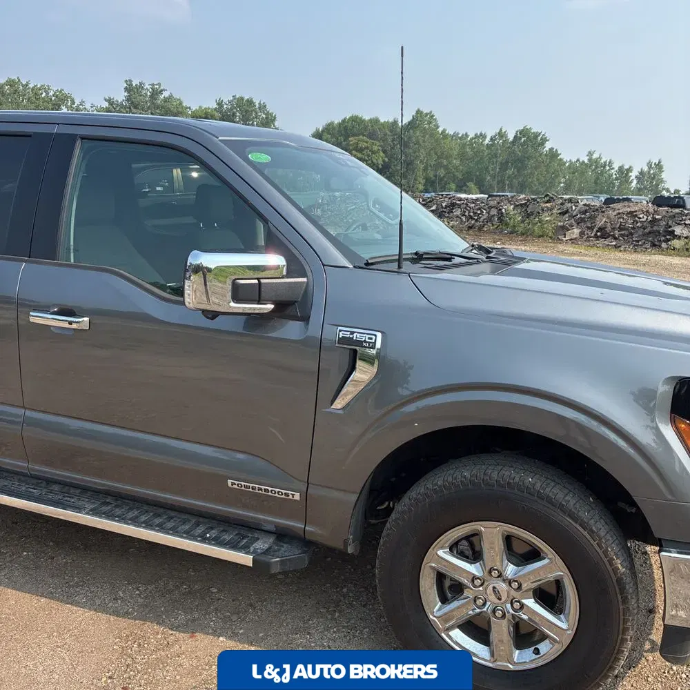 2024 Ford F150 XLT