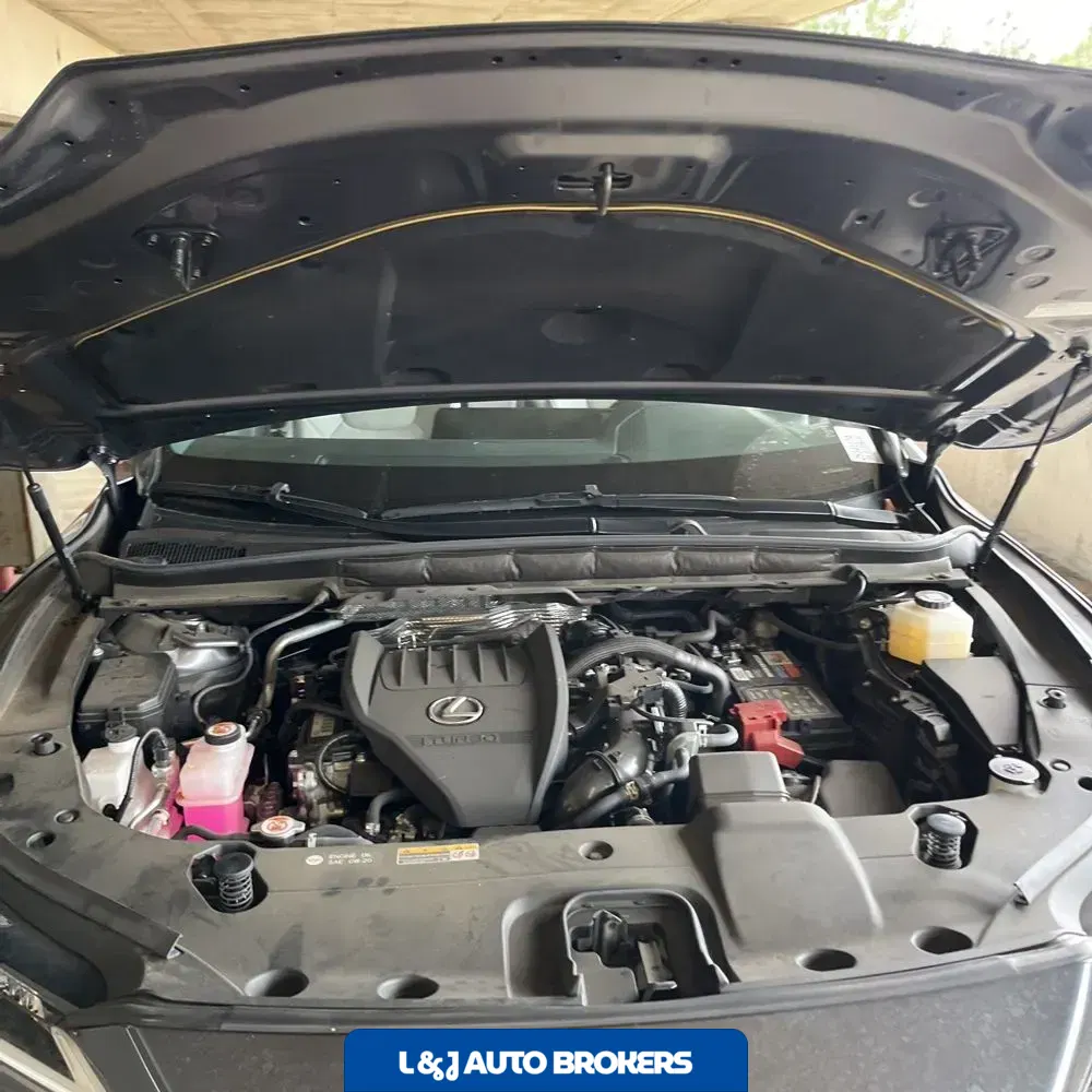 2024 Lexus RX 350 Premium+