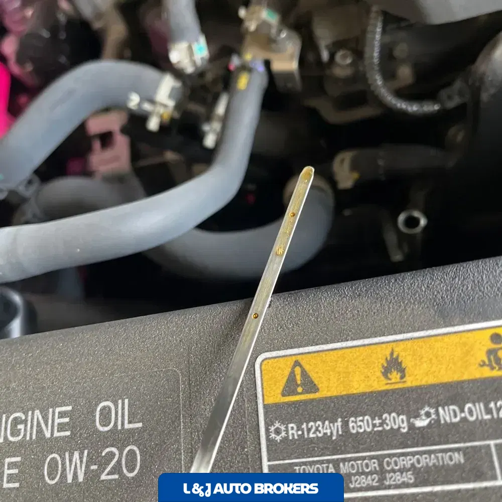 2024 Lexus RX 350 Premium+