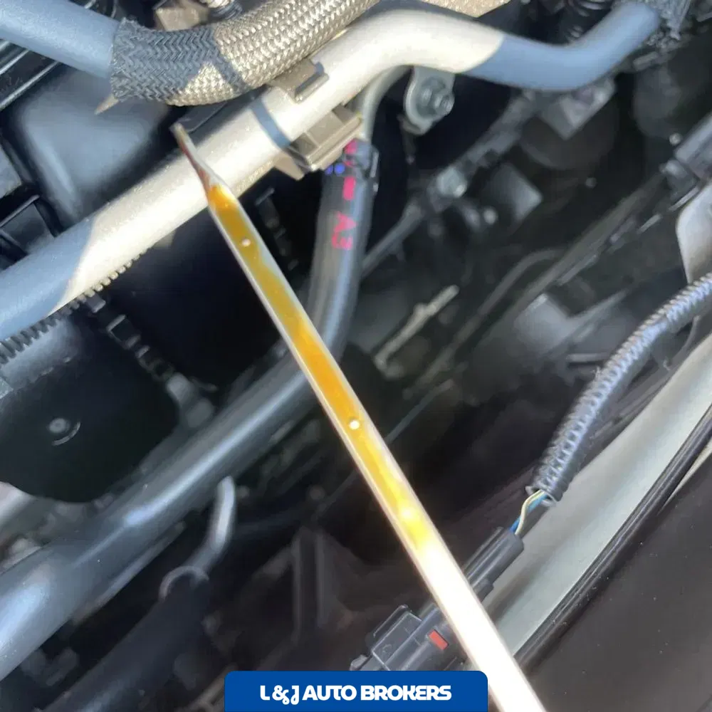 2024 Lexus NX 350h Premium