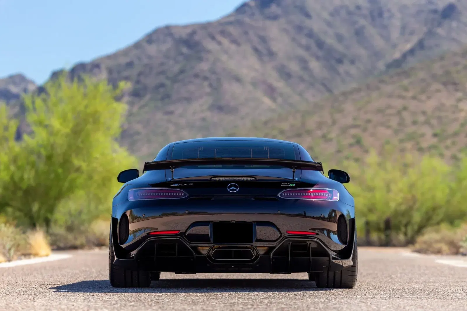 2020 Mercedes-AMG GT R Pro