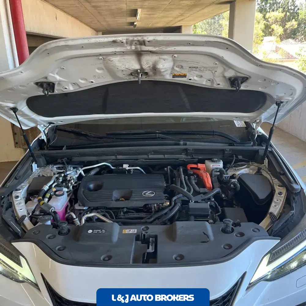 2024 Lexus NX 450h+ F SPORT Handling
