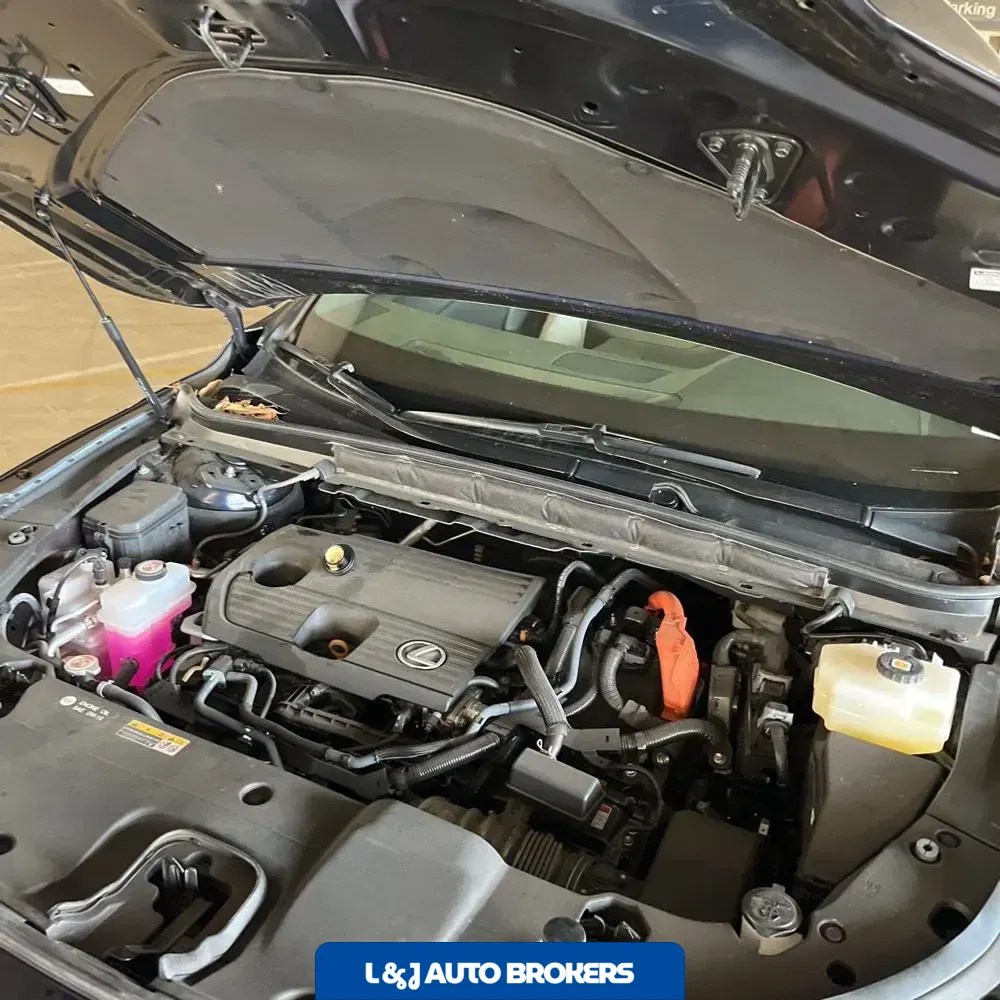2024 Lexus RX 350h Premium