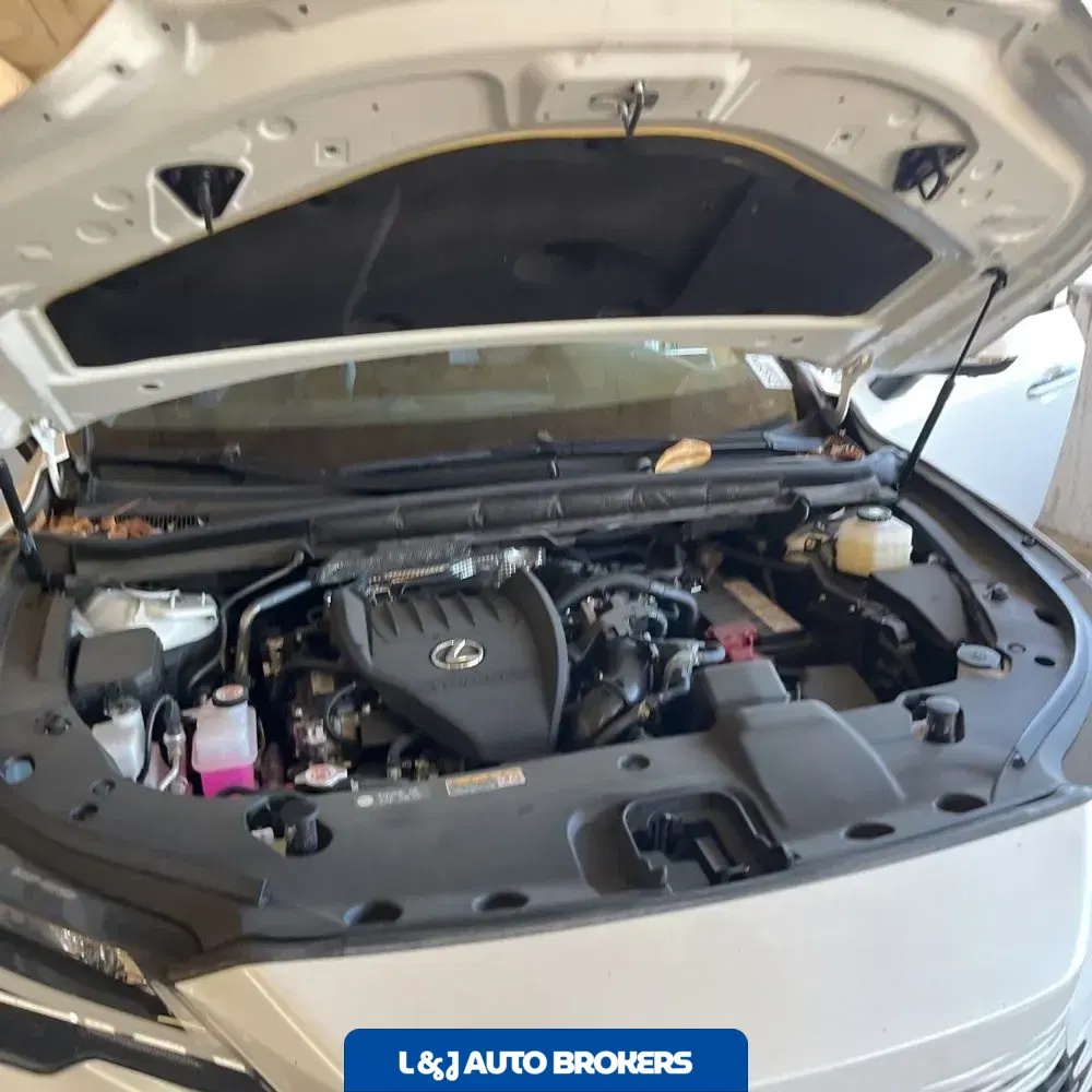 2024 Lexus RX 350 Premium+