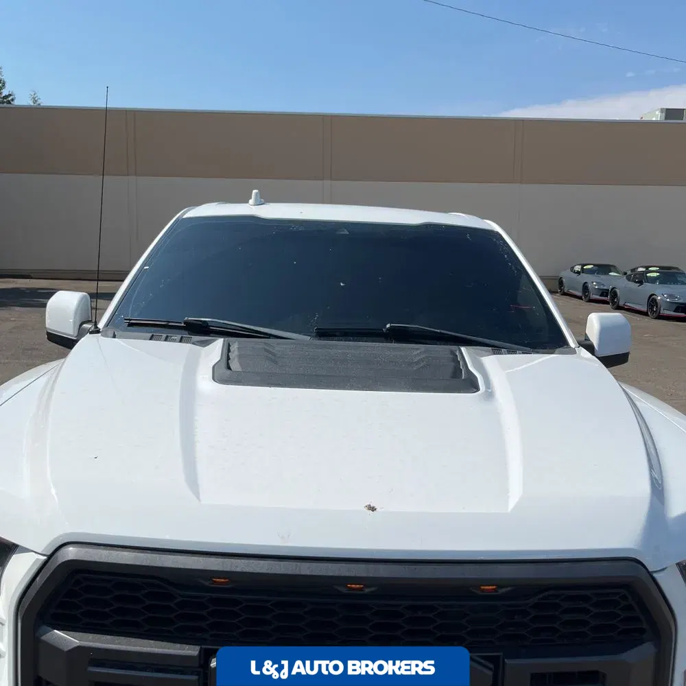 2019 Ford F-150 Raptor