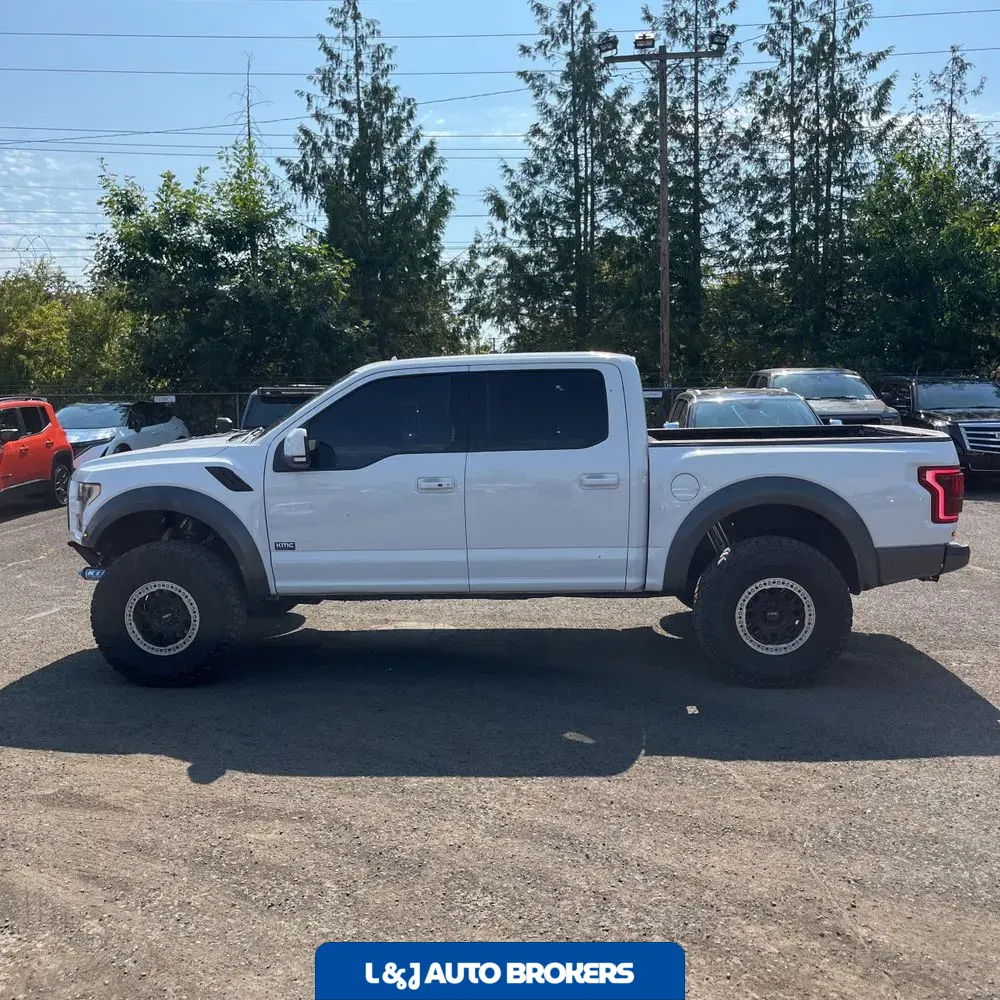2019 Ford F-150 Raptor