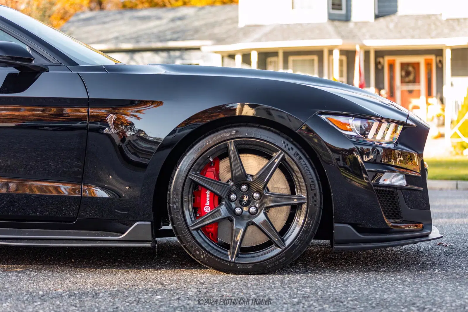 2020 Ford Mustang Shelby GT500