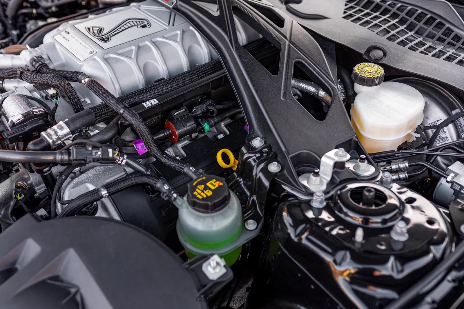 2020 Ford Mustang Shelby GT500