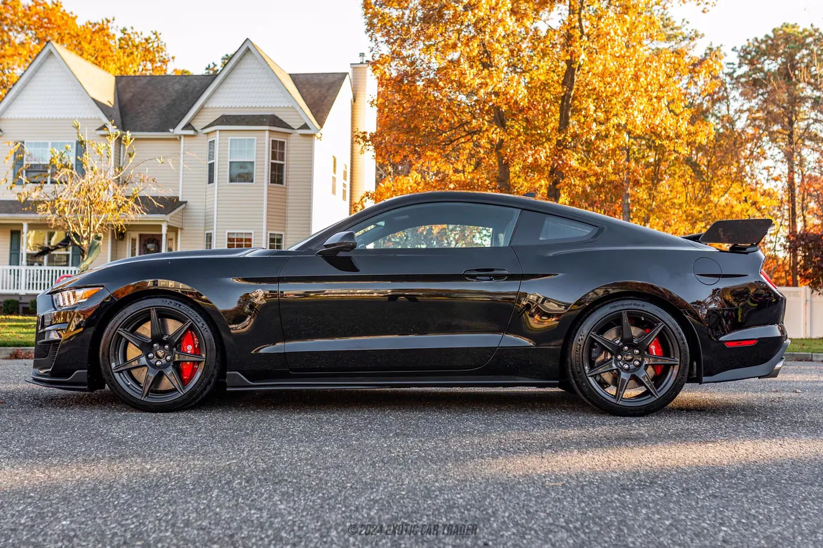 2020 Ford Mustang Shelby GT500