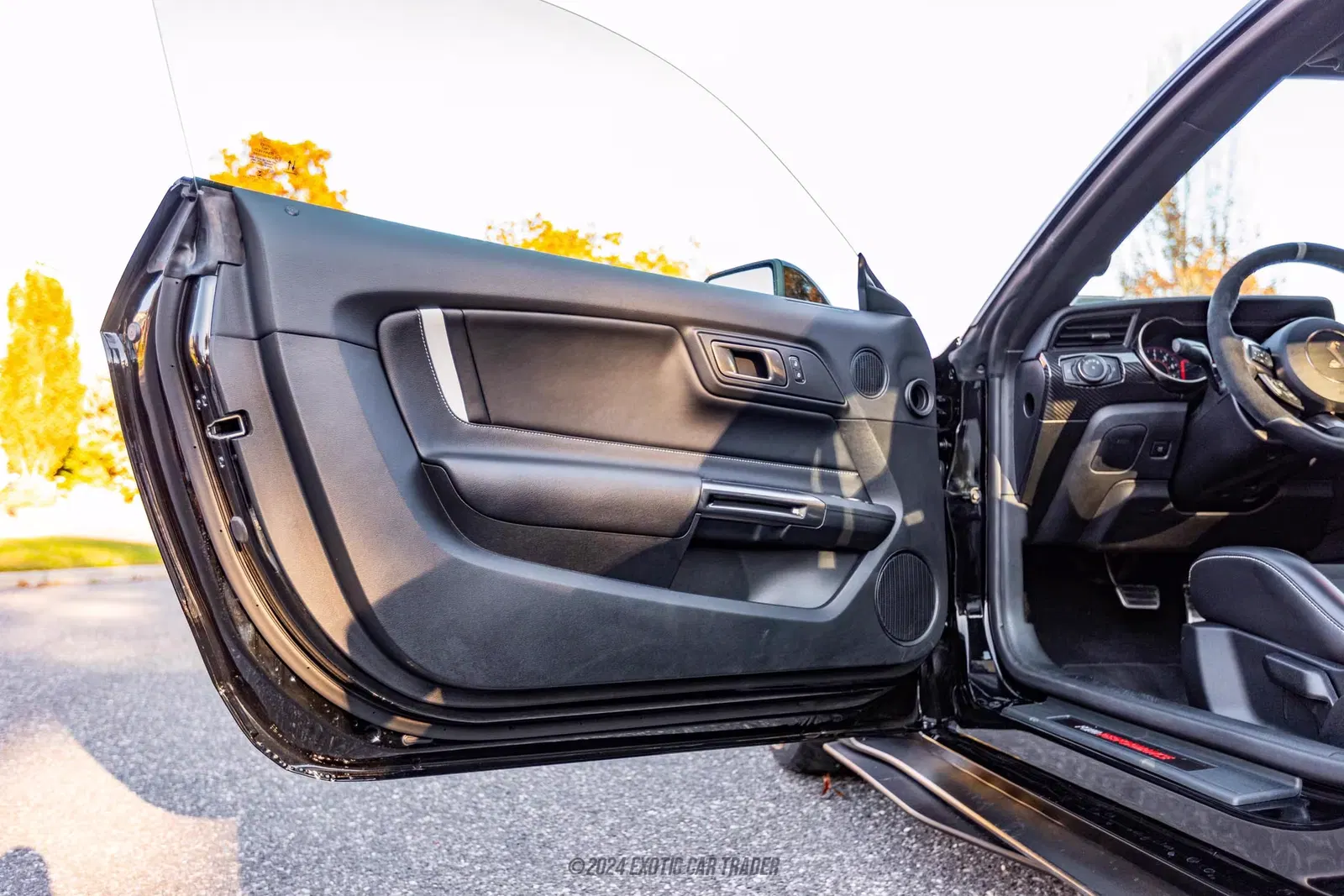 2020 Ford Mustang Shelby GT500