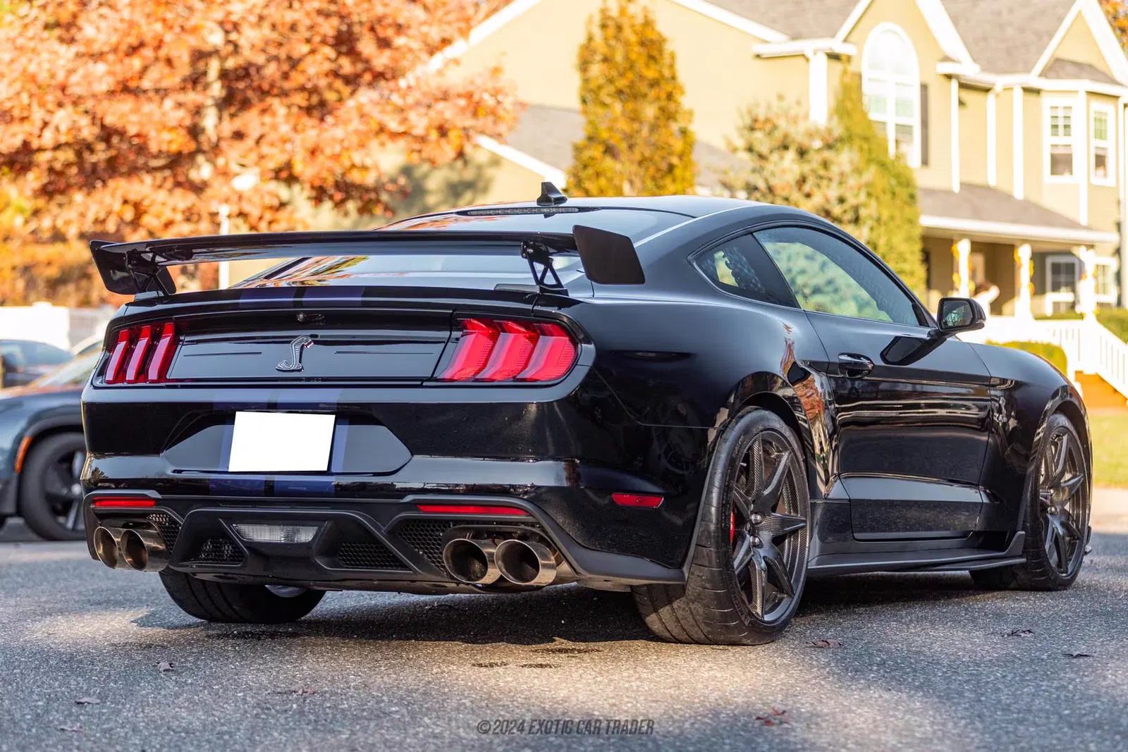2020 Ford Mustang Shelby GT500
