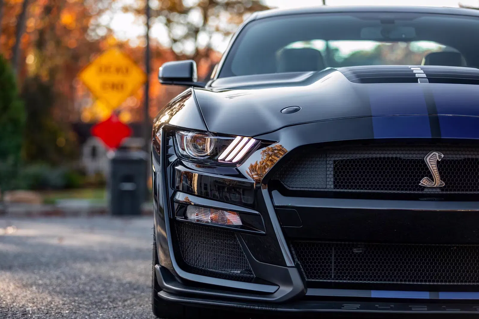 2020 Ford Mustang Shelby GT500