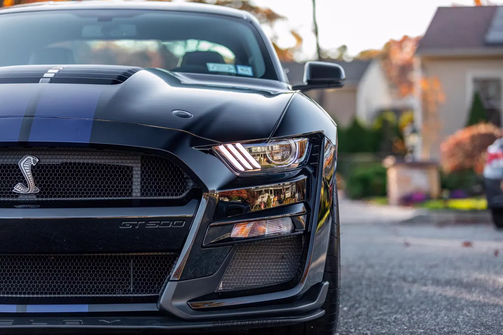2020 Ford Mustang Shelby GT500