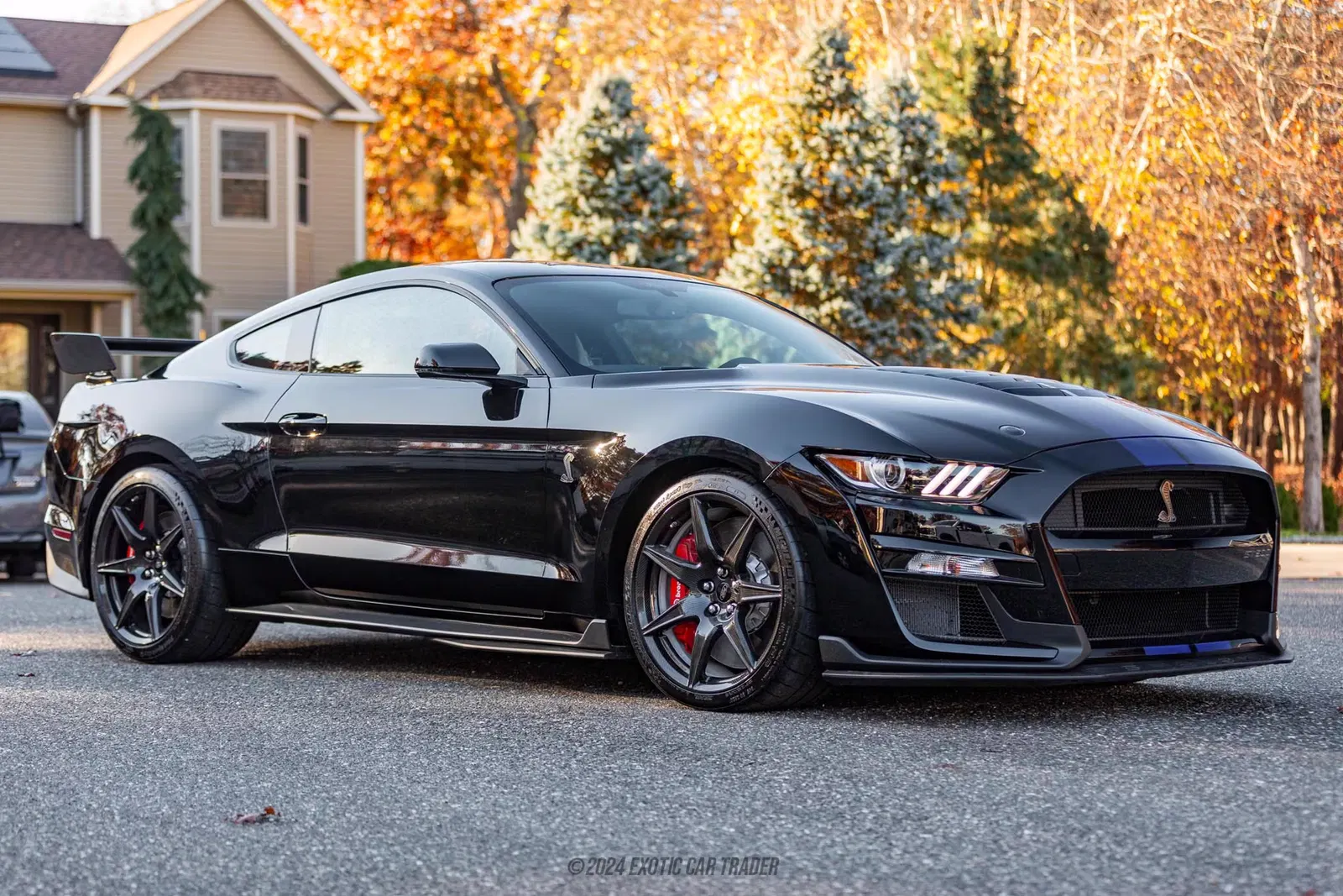 2020 Ford Mustang Shelby GT500