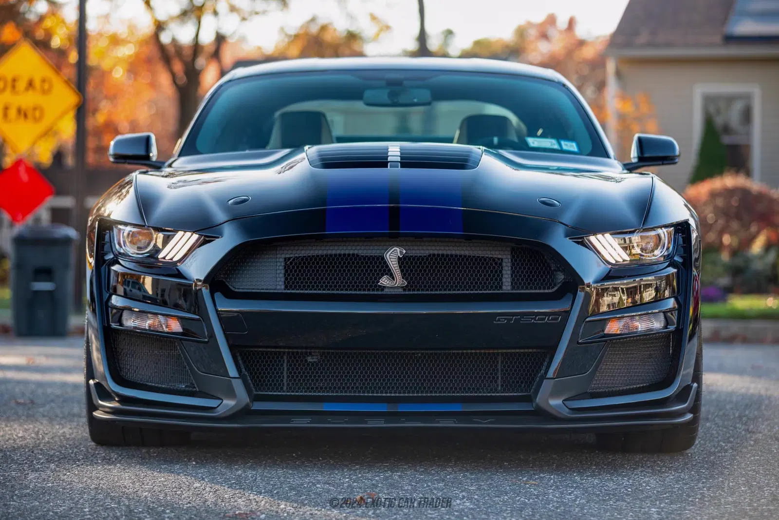 2020 Ford Mustang Shelby GT500