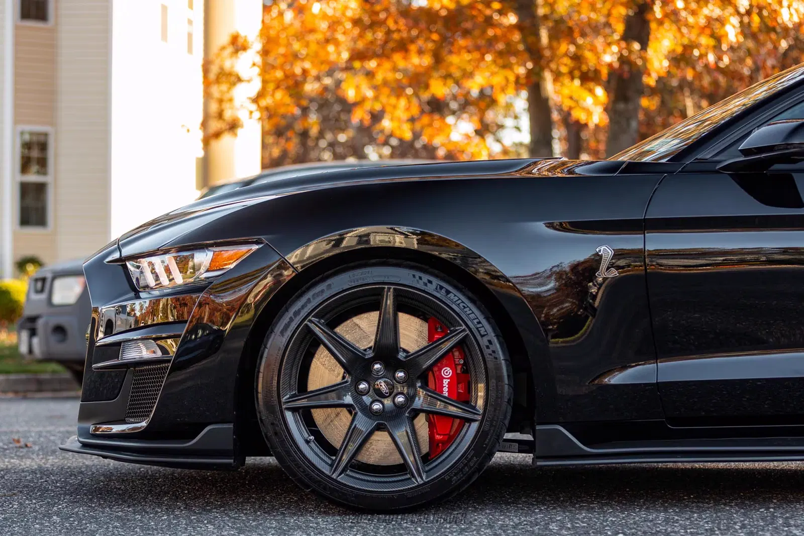 2020 Ford Mustang Shelby GT500