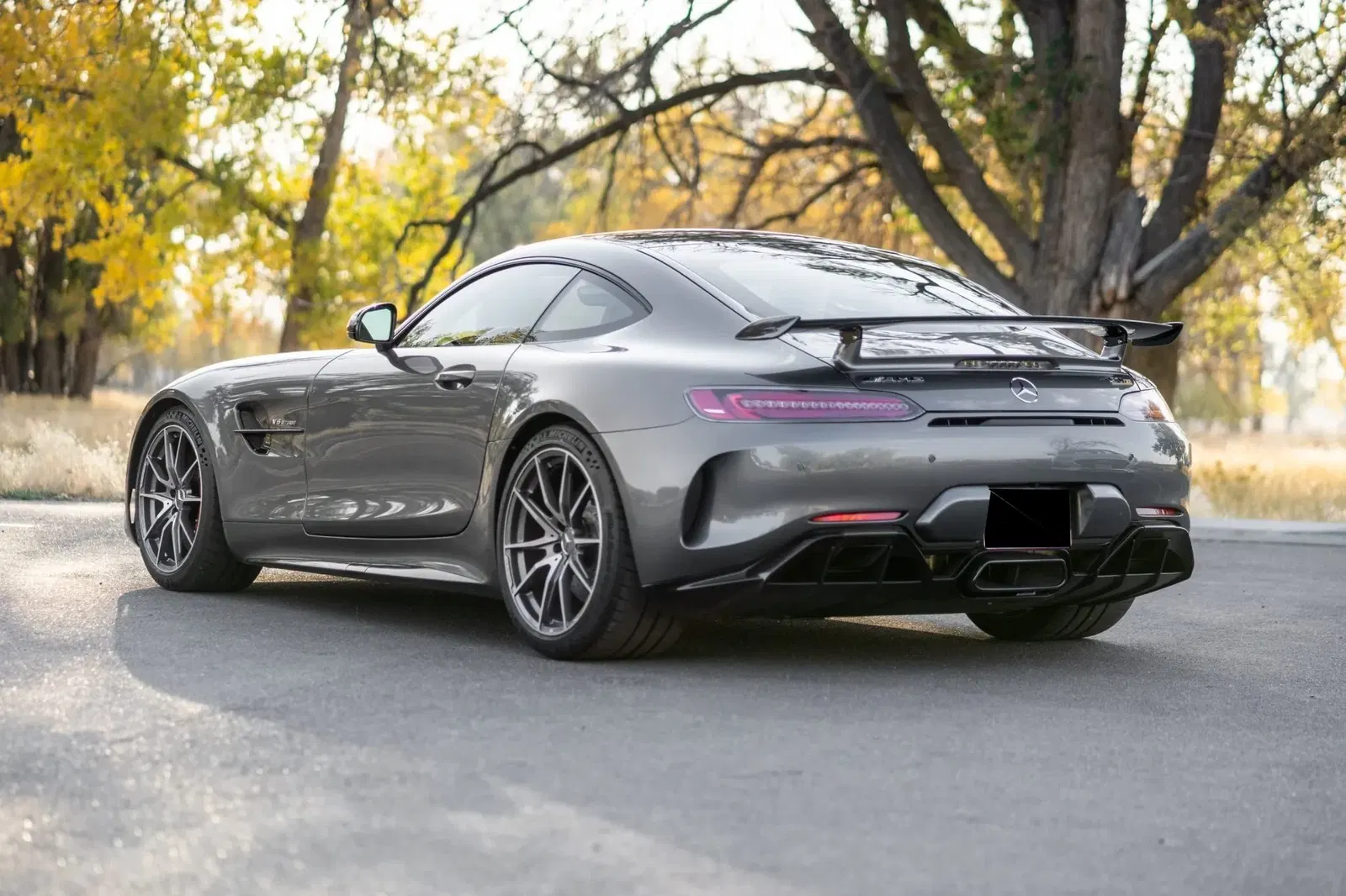 1,400-Mile 2019 Mercedes-AMG GTR