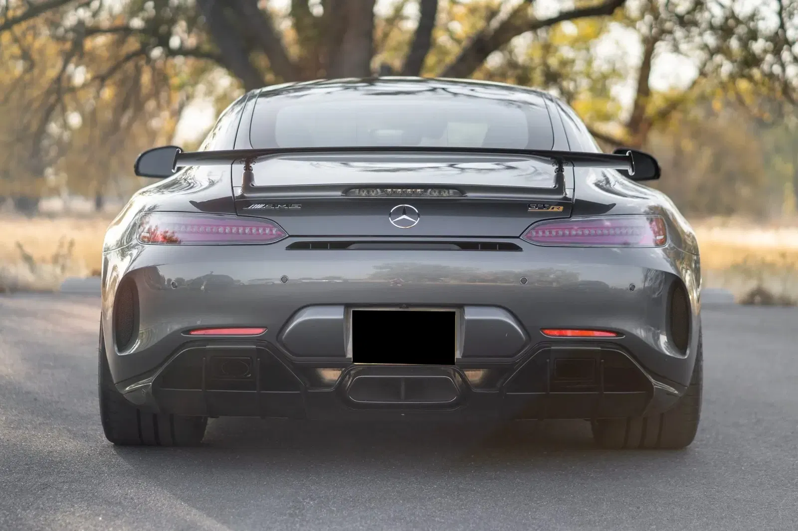 1,400-Mile 2019 Mercedes-AMG GTR