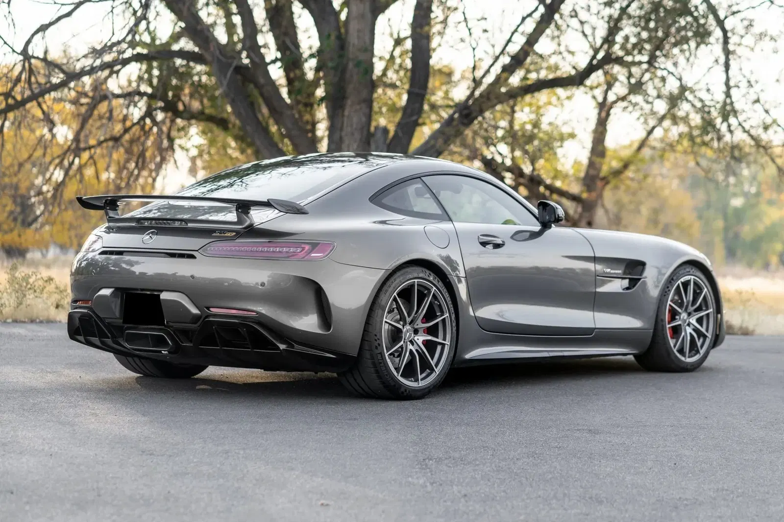 1,400-Mile 2019 Mercedes-AMG GTR
