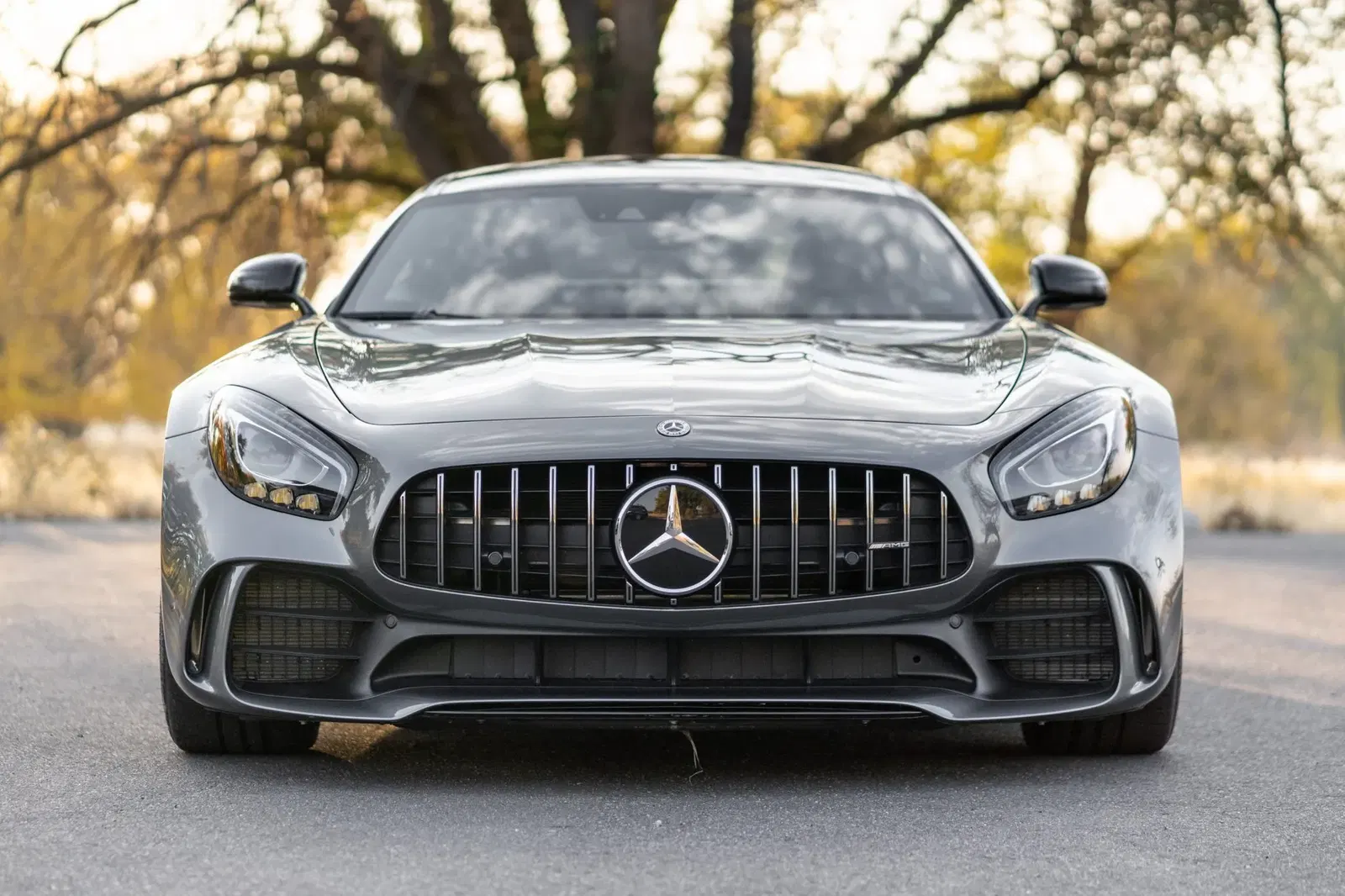 1,400-Mile 2019 Mercedes-AMG GTR