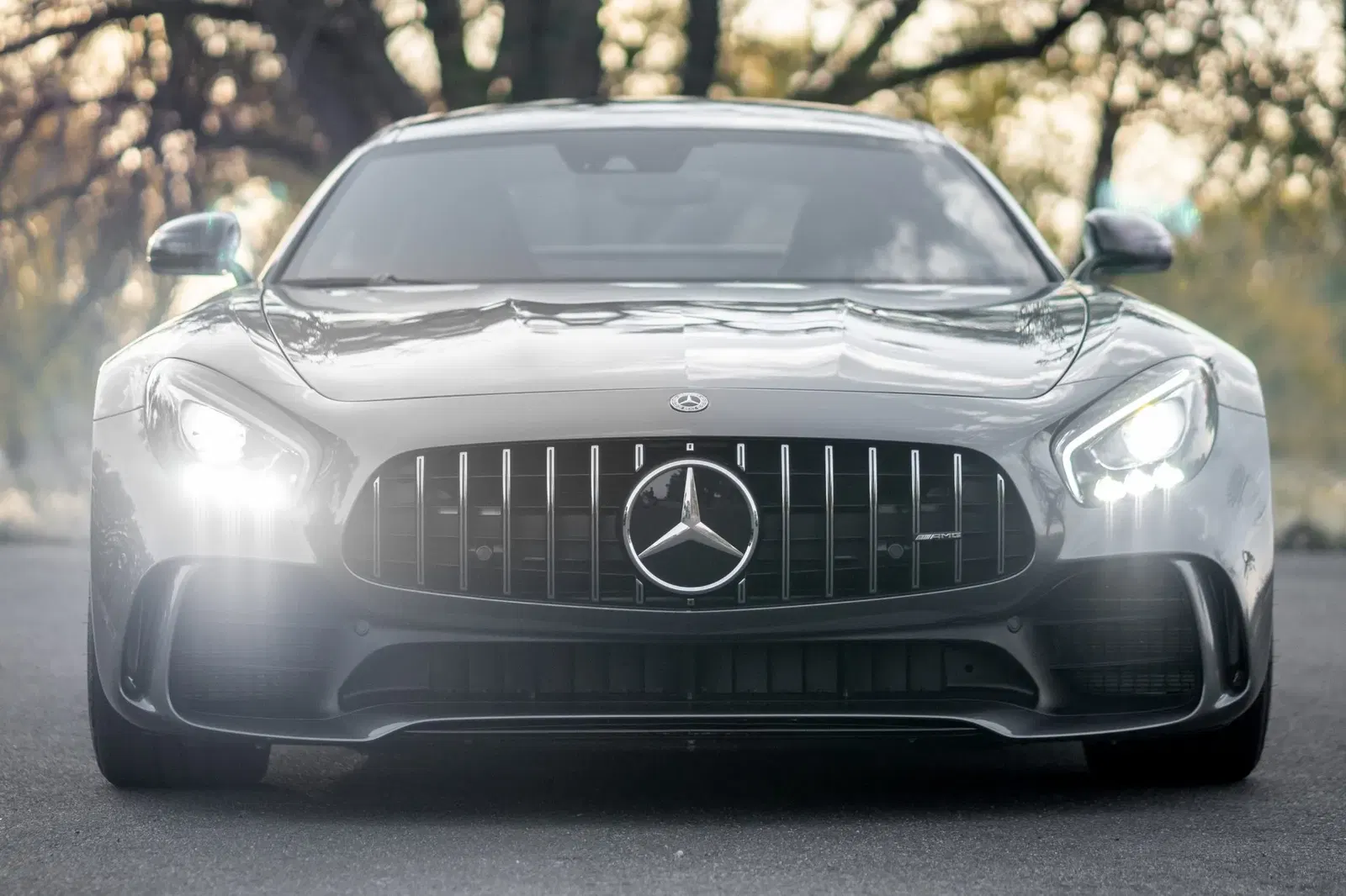 1,400-Mile 2019 Mercedes-AMG GTR