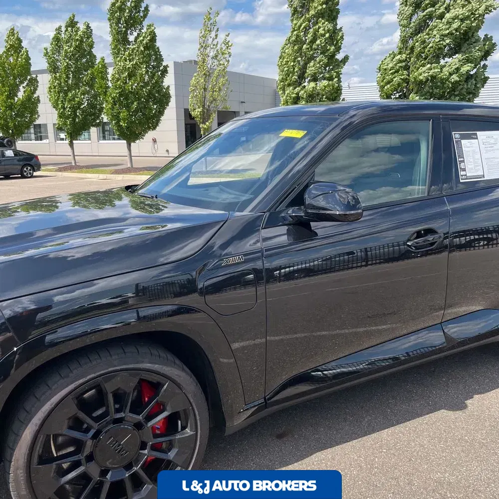 2025 BMW XM PHEV