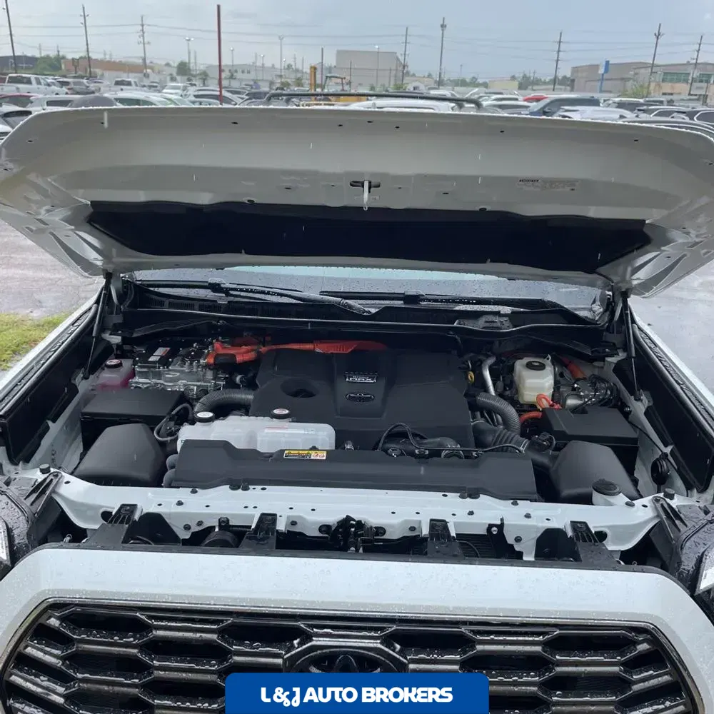2025 Toyota Sequoia Platinum