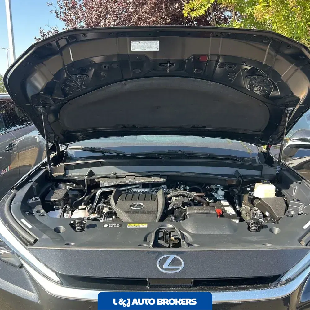 2024 Lexus TX 350 Premium