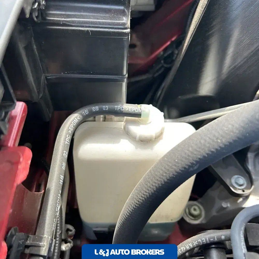 2024 Acura RDX SH-AWD w/Advance w/A-SPEC