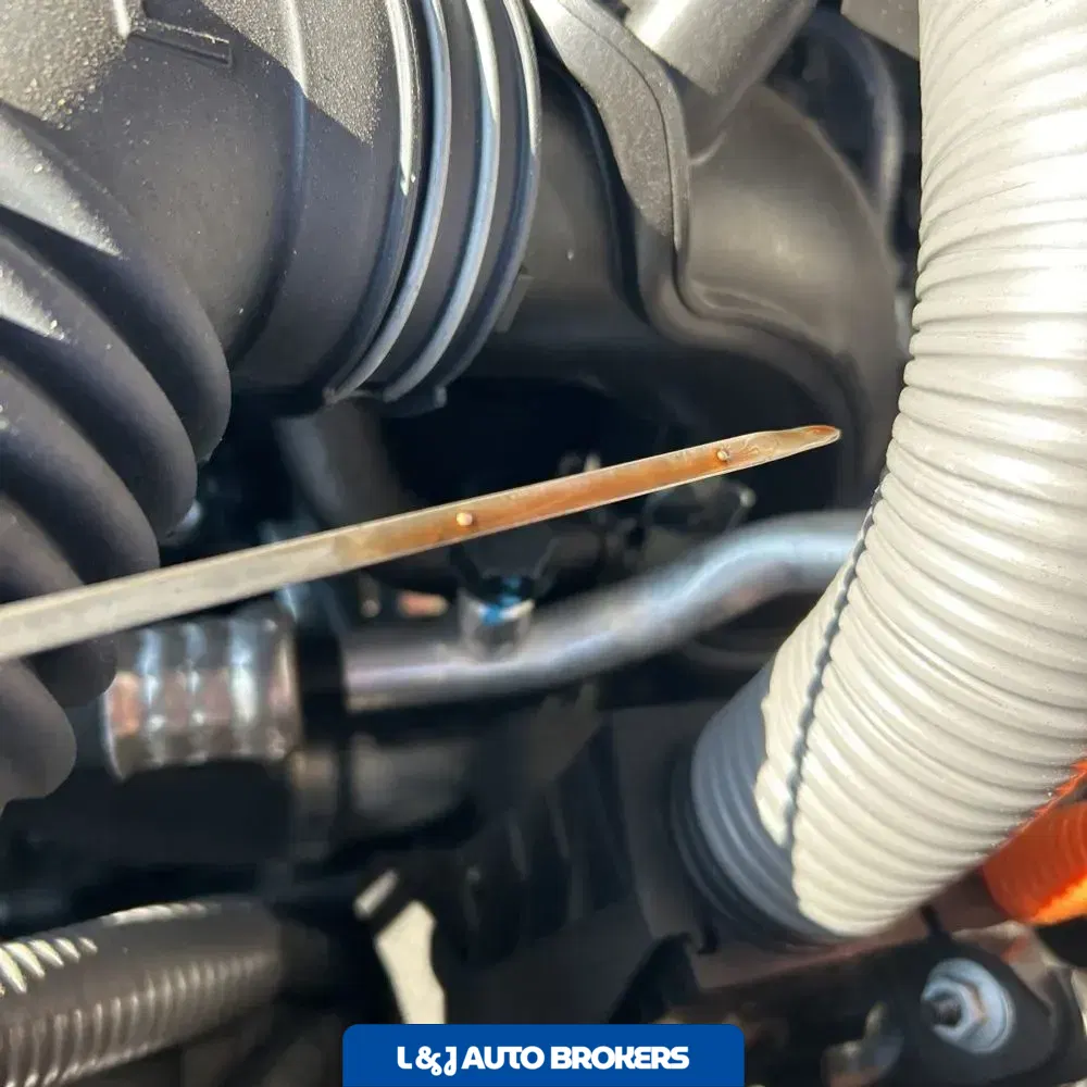2024 Toyota Sequoia TRD Pro