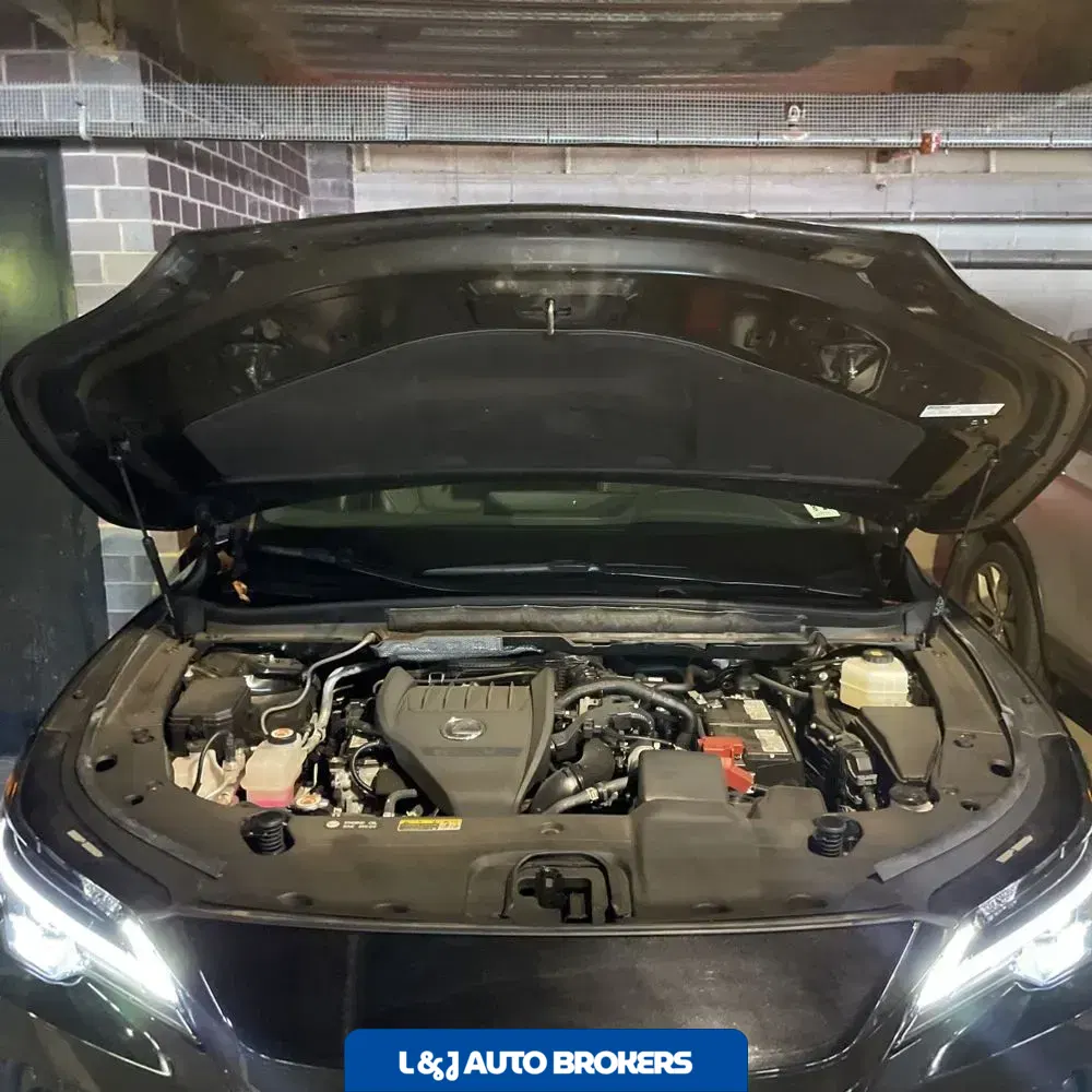 2024 Lexus RX 350 Premium