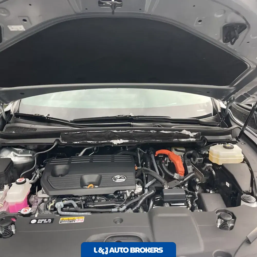 2024 Lexus RX 350h Luxury