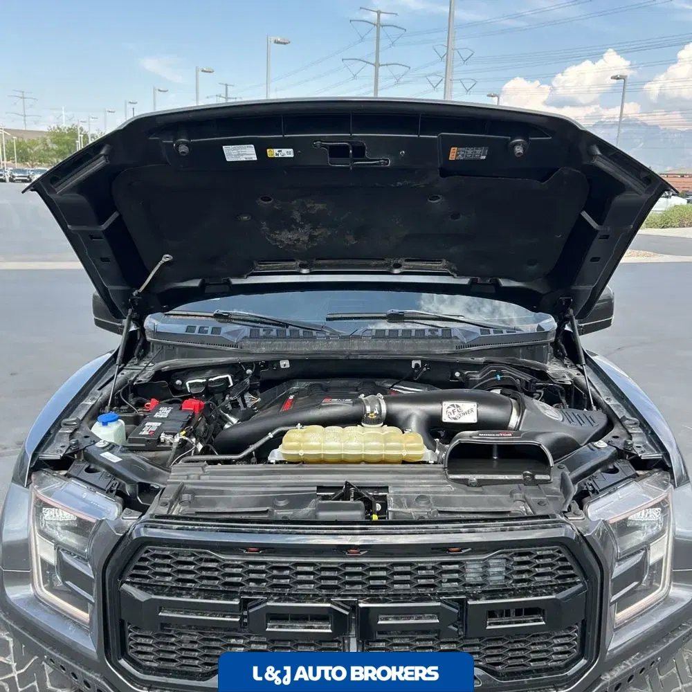 2019 Ford F-150 Raptor