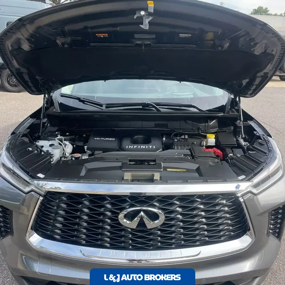 2025 INFINITI QX60 Luxe