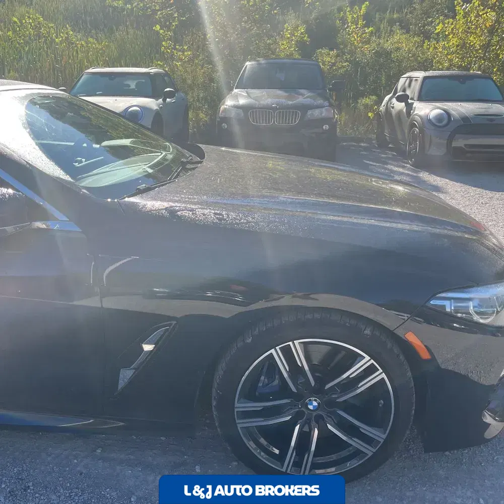 2019 BMW 8-Series M850xi