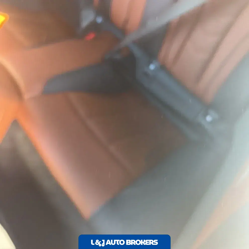 2019 BMW 8-Series M850xi