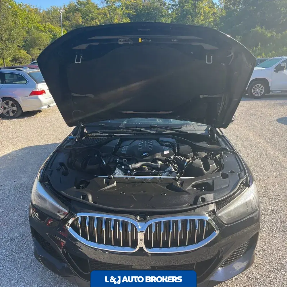 2019 BMW 8-Series M850xi