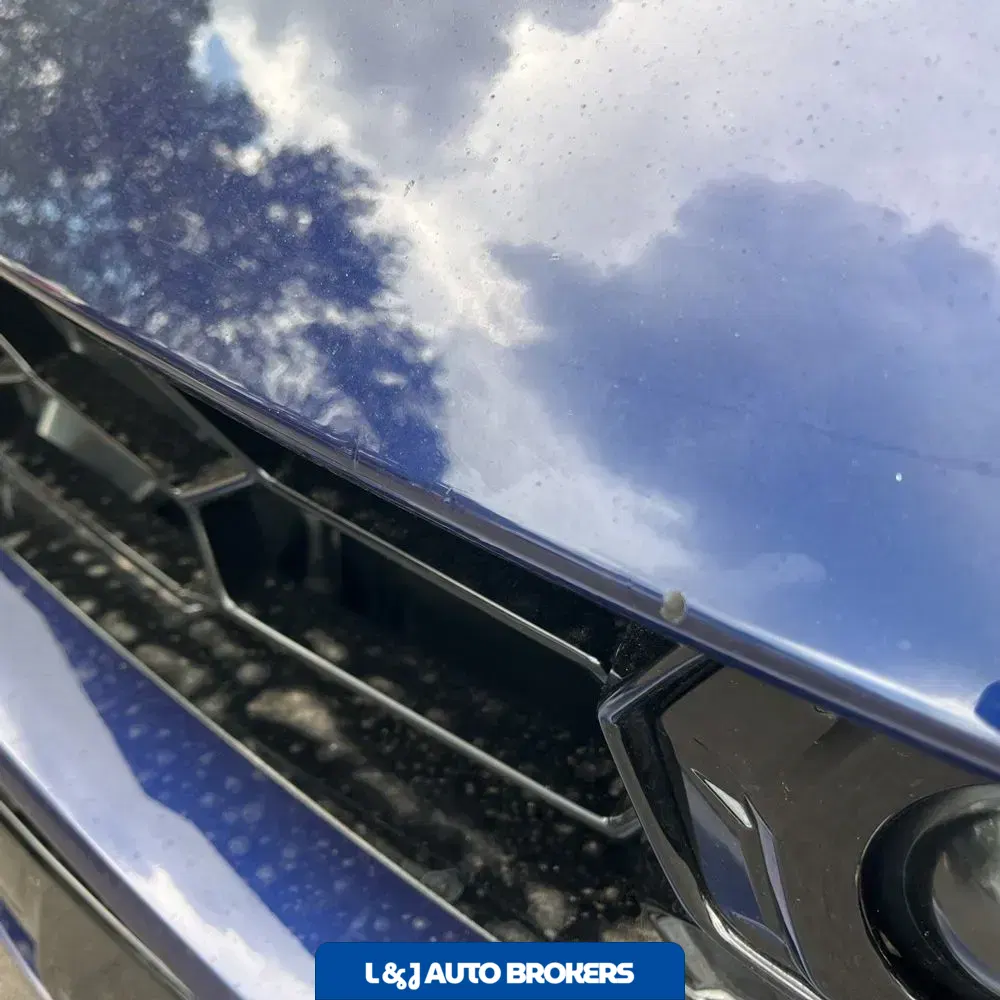 2021 Lamborghini Urus Base