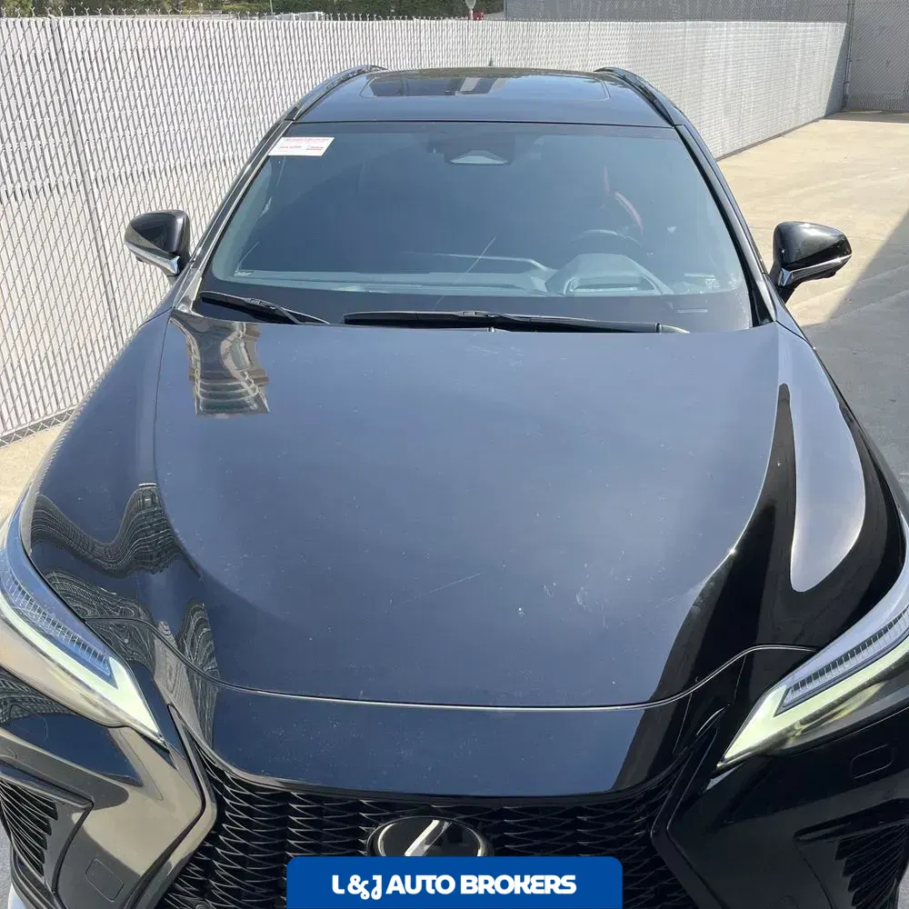 2024 Lexus NX 450h+ F SPORT Handling